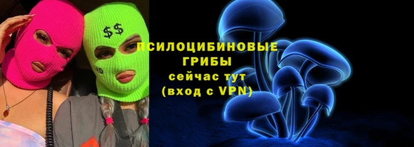 соль ск Балахна