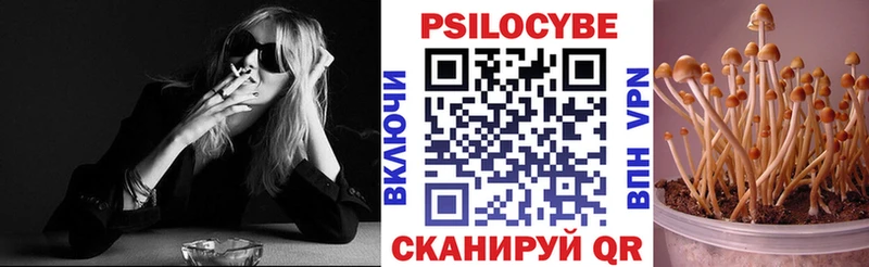 Галлюциногенные грибы Psilocybine cubensis Печора