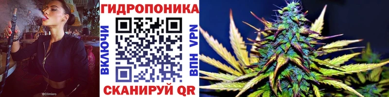 Каннабис конопля Печора